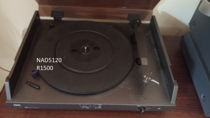 IMG20240321153816 (Small)